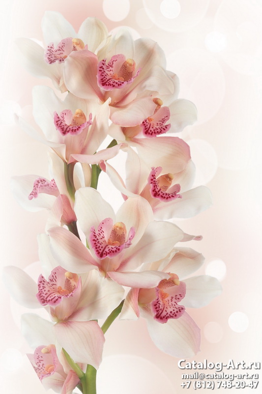 Натяжные потолки с фотопечатью - Розовые орхидеи 82